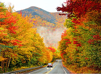 foliage car service