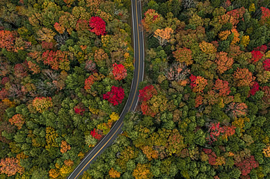 boston foliage tour